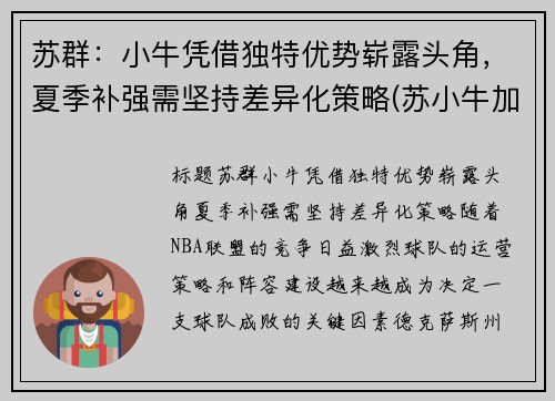 苏群：小牛凭借独特优势崭露头角，夏季补强需坚持差异化策略(苏小牛加盟)